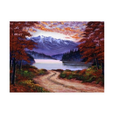 David Lloyd Glover 'Roat To Green Lake' Canvas Art,14x19